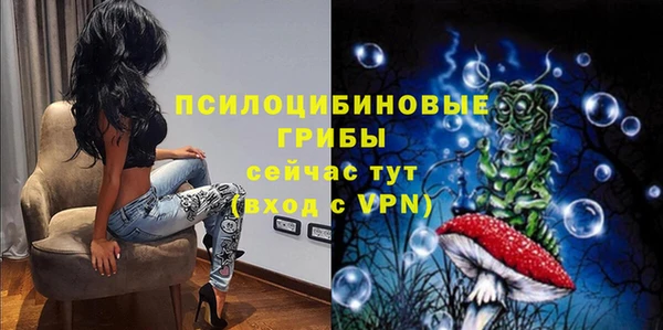 сатива Верхний Тагил