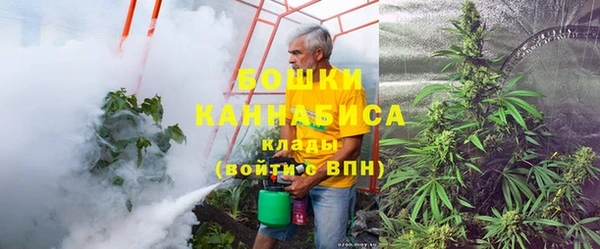 сатива Верхний Тагил