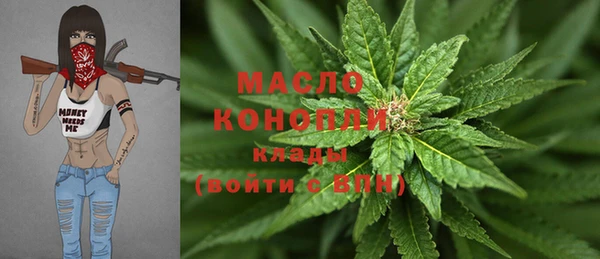 сатива Верхний Тагил