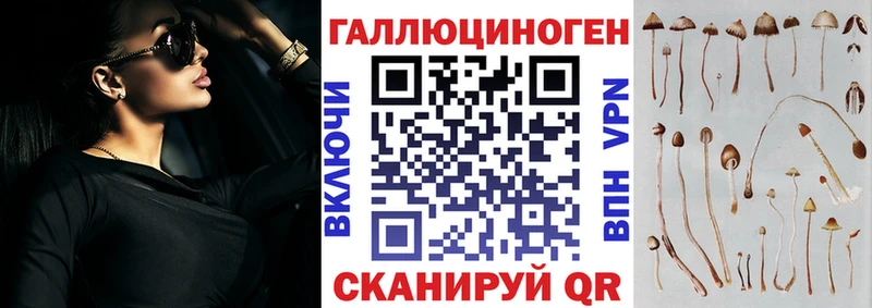 где продают   МЕГА зеркало  Псилоцибиновые грибы Psilocybine cubensis  Дигора 