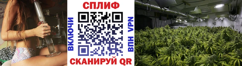 Каннабис индика магазин продажи наркотиков Дигора